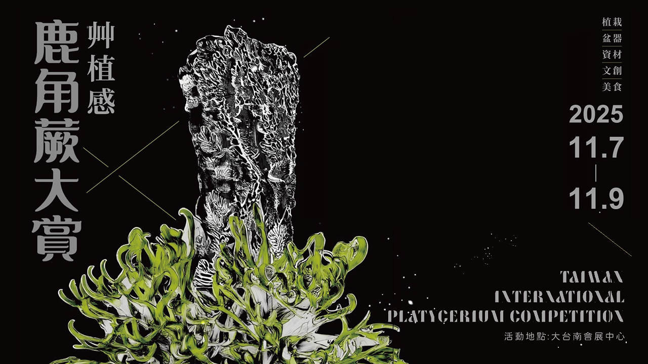 2025 Taiwan International Platycerium Competition